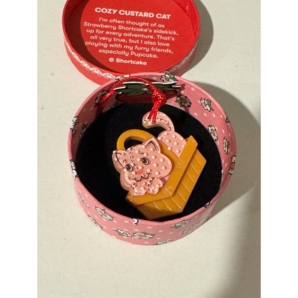 Erstwilder Strawberry Shortcake Cozy Custard Cat Mini Brooch New in Box